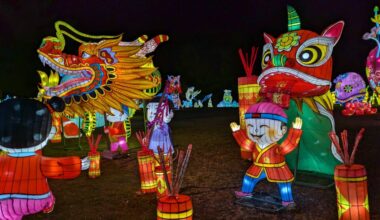 Autumn Glow Festival: A Magical Lantern Experience Near NYC