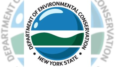 Rangers rescue nine on Peekamoose Trail in Ulster County, officials say – Daily Freeman