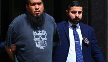 Brooklyn gunman arrested for shooting dog during walk with owner