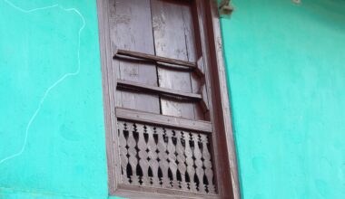The Green House That Stood: How One Nepali Family Survived The Catastrophic Floods | The Bronx Daily