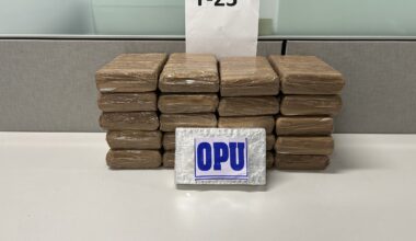 Special Delivery: 30 Kilos of Cocaine Seized from UPS Packages in Brooklyn and Manhattan