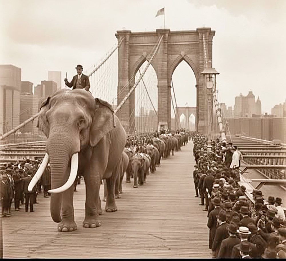 The Building of the Brooklyn Bridge