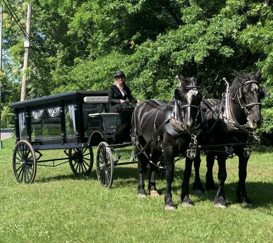 Was that a horse I just saw on East Tremont Avenue? – Bronx Times