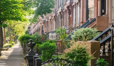 Greenest Block in Brooklyn is on Lincoln Place, new list says – NBC New York