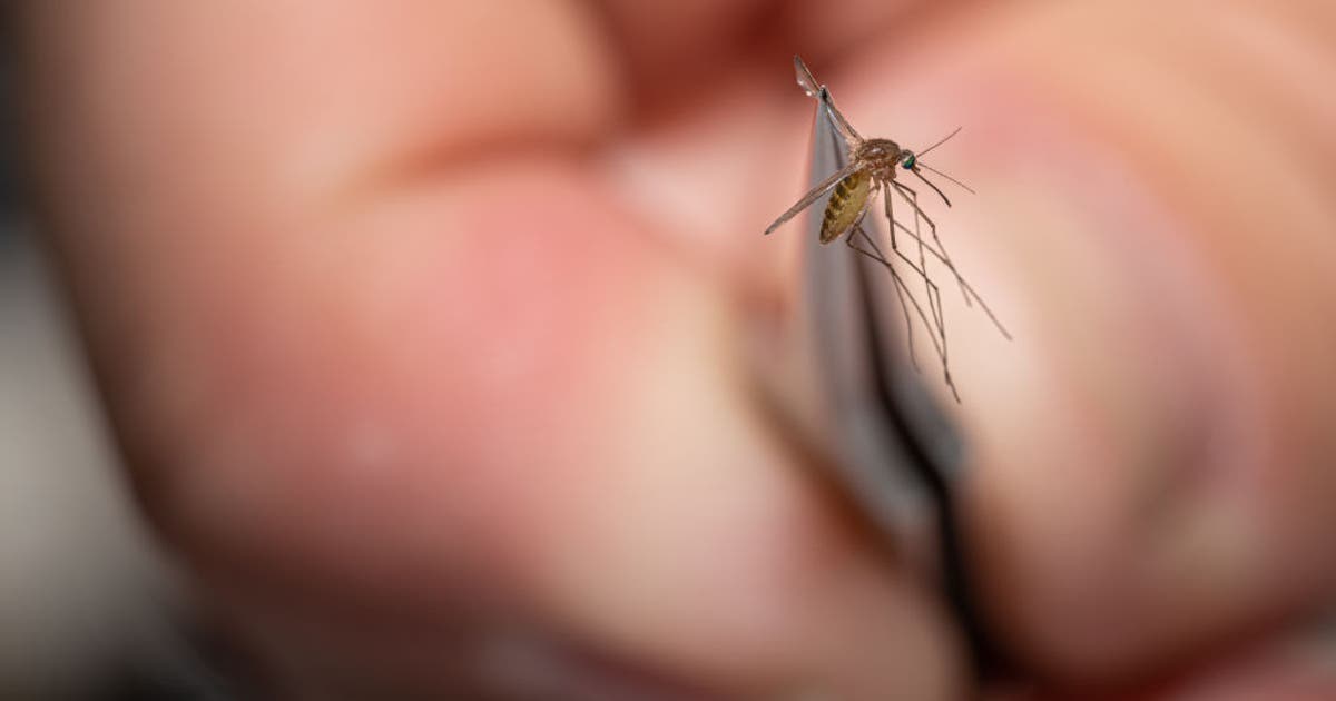 NYC Health Department reports first human West Nile virus case of 2026