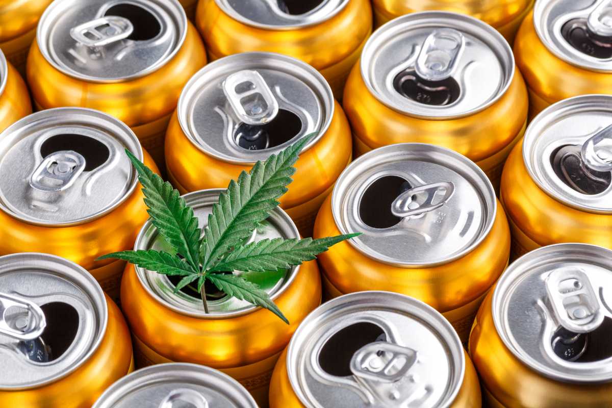 Op-Ed | New York needs to get THC beverages right