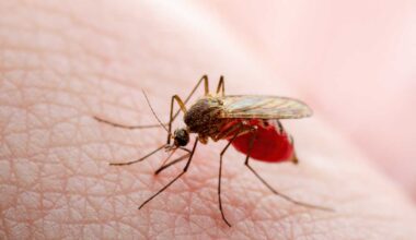 NYC reports first West Nile case of the year amid increased mosquito activity