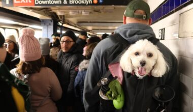 MTA preliminary budget suggests possible fare and toll increases
