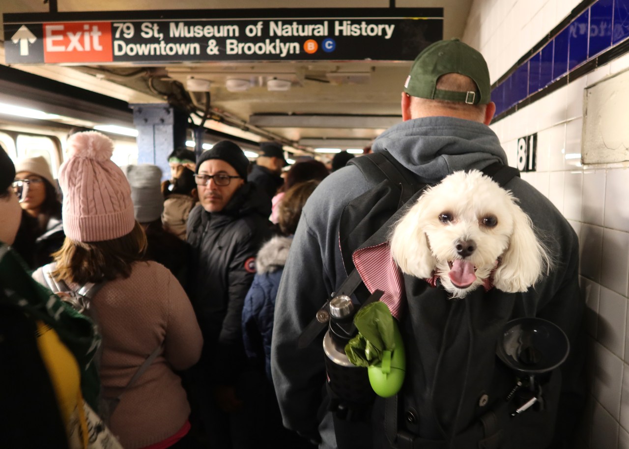 MTA preliminary budget suggests possible fare and toll increases