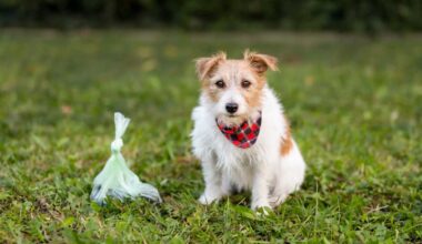 Who gets the pet in a divorce? Custody battles for furry critters in New York begin to resemble similar fights over children