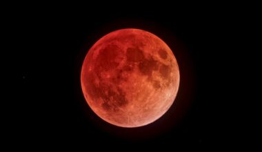 Partial lunar eclipse NYC: What to know for Thursday night – NBC New York