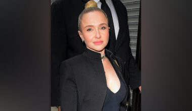 Hayden Panettiere probe considers criminal conduct: report