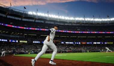 For the Yankees’ newcomers, the Bronx might as well be fantasyland