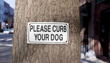 The ‘SCOOP’ on poop: City Council approves bills aimed at getting New Yorkers to clean up after their dogs