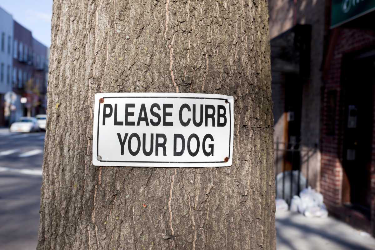 The ‘SCOOP’ on poop: City Council approves bills aimed at getting New Yorkers to clean up after their dogs