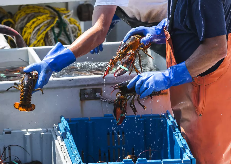 Massachusetts Lobster Rolls Draw On Connecticut And Maine Versions