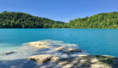 The ‘Caribbean of NY’ is a crystal clear glacial lake 4 hours from NYC—it’s home to a hyper-rare ‘coral reef’ you can glide over on clear-bottom kayaks