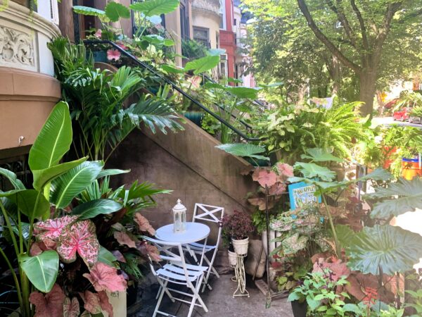 An inviting entrance to a home on Lincoln Place. Photo: Mary Frost/Brooklyn Eagle