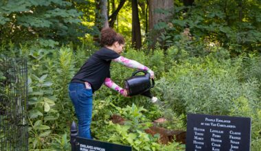 A young woman watering plants in a park, on the right a sign displays the names of enslaved people who may be buried there,