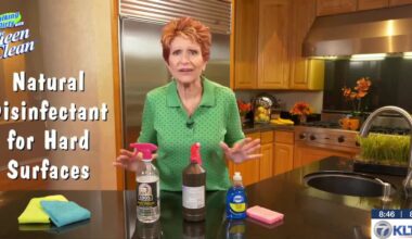 Queen of Clean: Natural disinfectant for hard surfaces