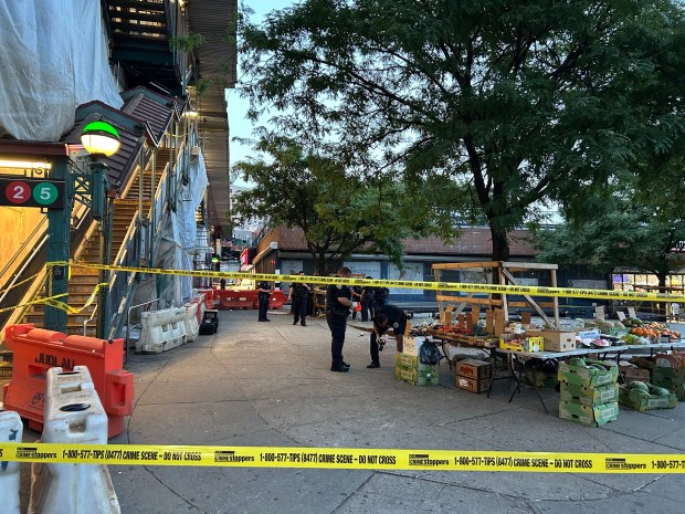 Two men sitting on a bench at E Tremont and Boston Rd in the Bronx were shot by a hooded gunman on Aug. 6, 2026. (Kerry Burke/New York Daily News)