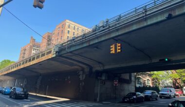 The Week in Brooklyn: August 24–30, 2026 | Brooklyn Bridge Parents