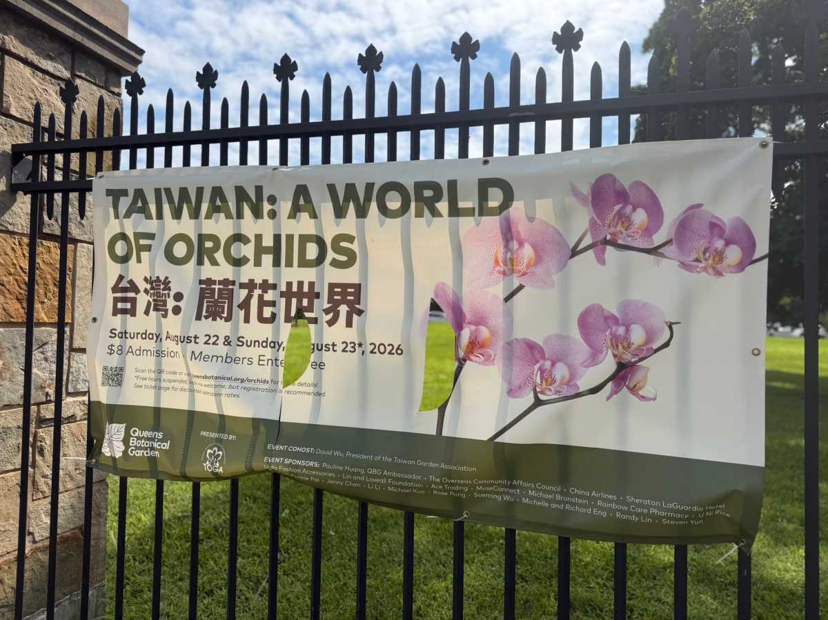 Queens Botanical Garden launches ‘Taiwan: A World of Orchids’ exhibit featuring rare flowers – QNS