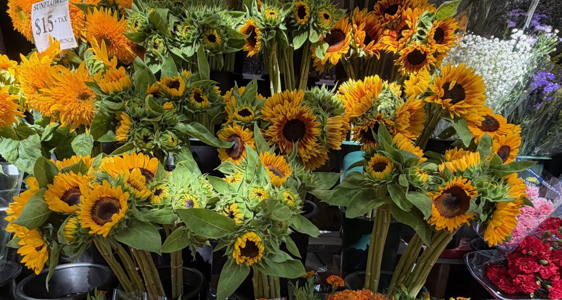 Monday Bulletin: UWS School Buys Ground-Floor Space in West 95th Street Building; UWS Pianist Struggles with Decision to Retire; Neighborhood Bartenders Compete to be ‘America’s Favorite Couple’; A Farewell to Barzini’s