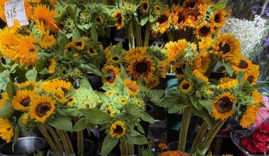 Monday Bulletin: UWS School Buys Ground-Floor Space in West 95th Street Building; UWS Pianist Struggles with Decision to Retire; Neighborhood Bartenders Compete to be ‘America’s Favorite Couple’; A Farewell to Barzini’s