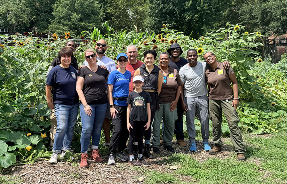 IREM NYC volunteers with Green City Force in the Bronx : NYREJ