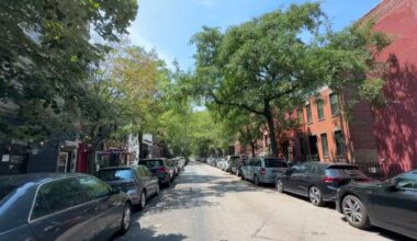 Some LIC residents demand more trees in their neighborhood
