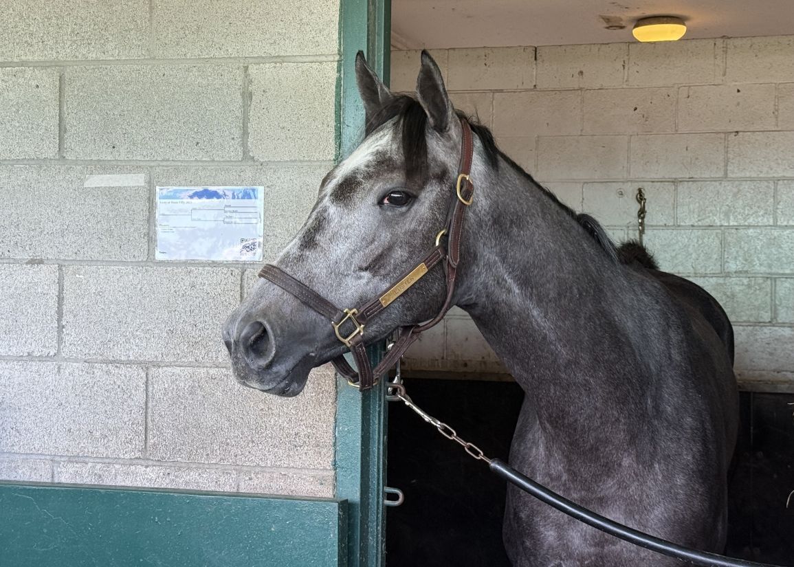 Queen Looks to Shine in King's Plate