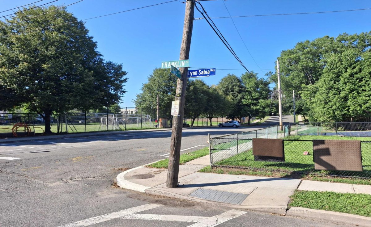 Vandals deface 'Lynn Sabia Way' sign at corner of Nyac Avenue and Franklin Place in two separate late-night incidents one week apart
