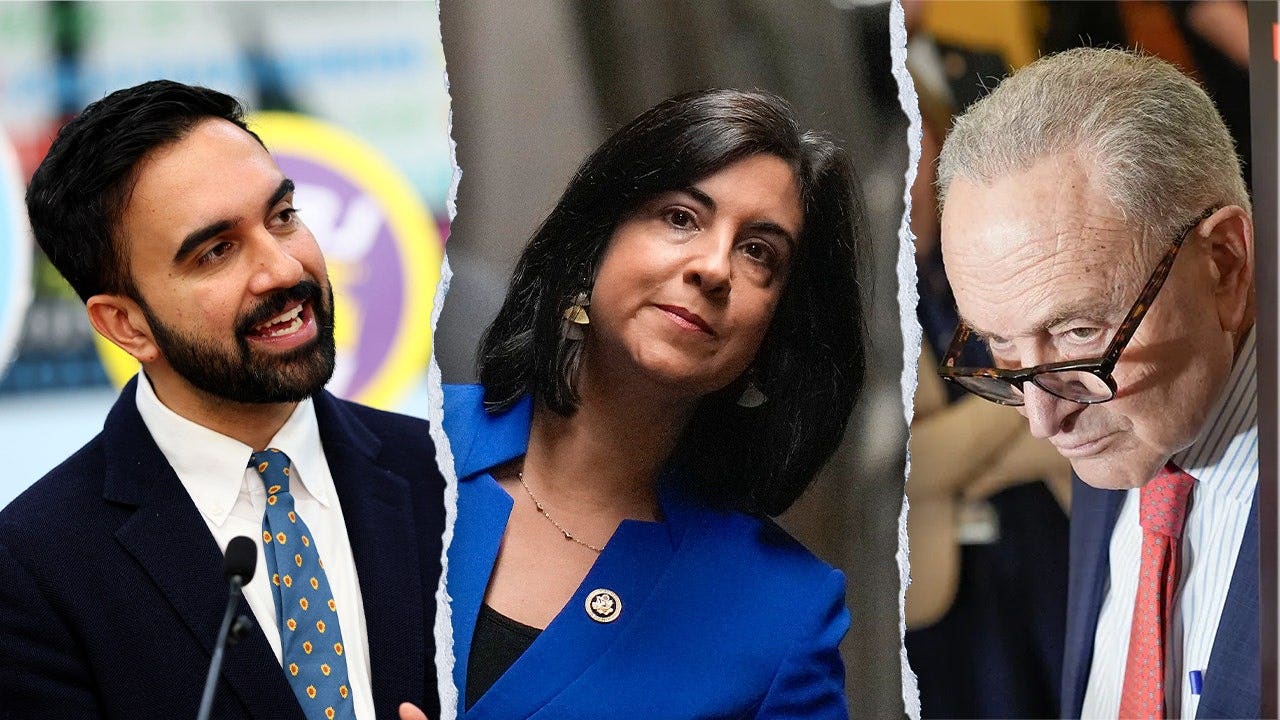 Rep Malliotakis accuses Democrats of voter ID 'hypocrisy' in Congress