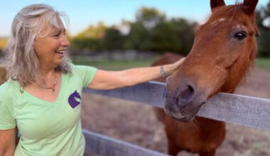 After Jamaica Bay Riding Academy closes, rescued horses find new homes • Brooklyn Paper