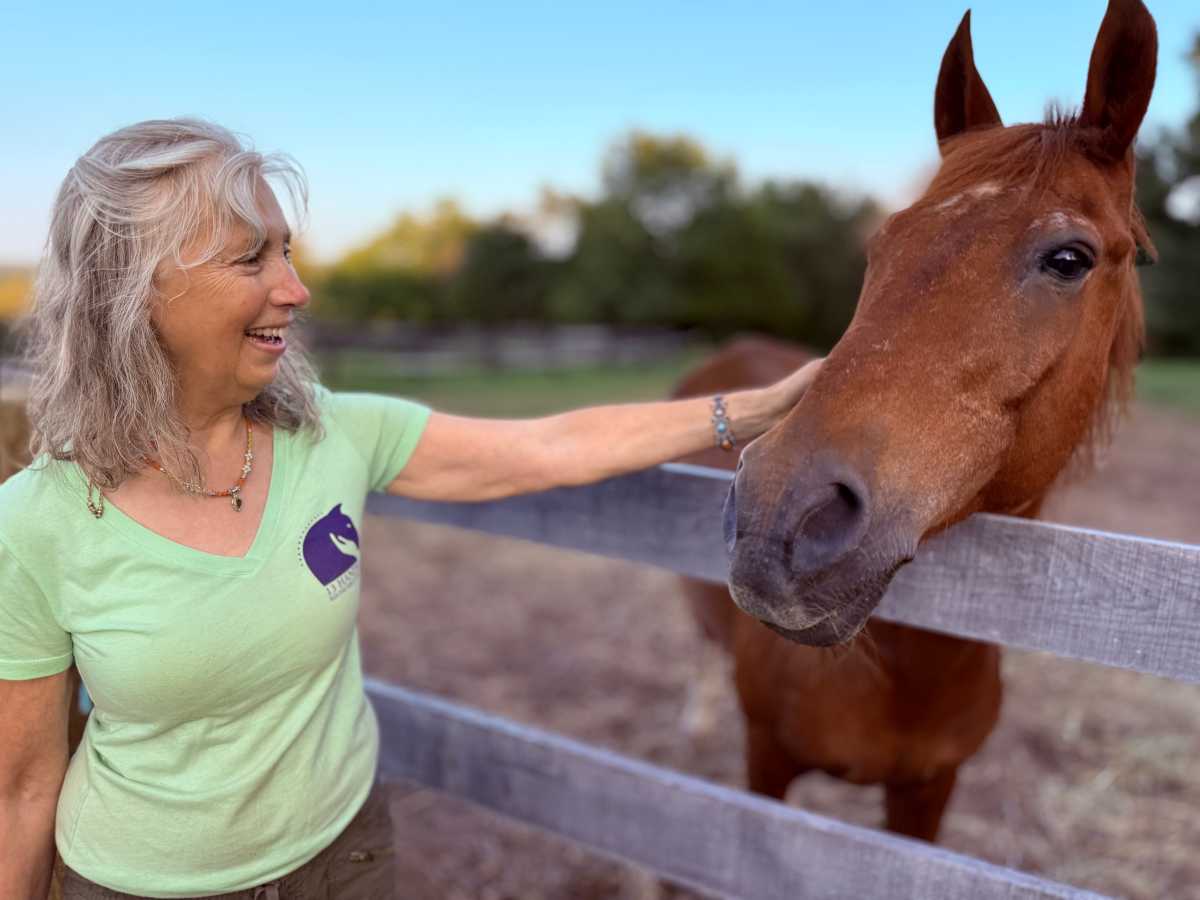 After Jamaica Bay Riding Academy closes, rescued horses find new homes • Brooklyn Paper
