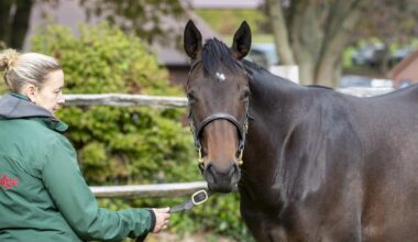 Arabian Queen's Daughter Forbidden Fire Debuts at Salisbury