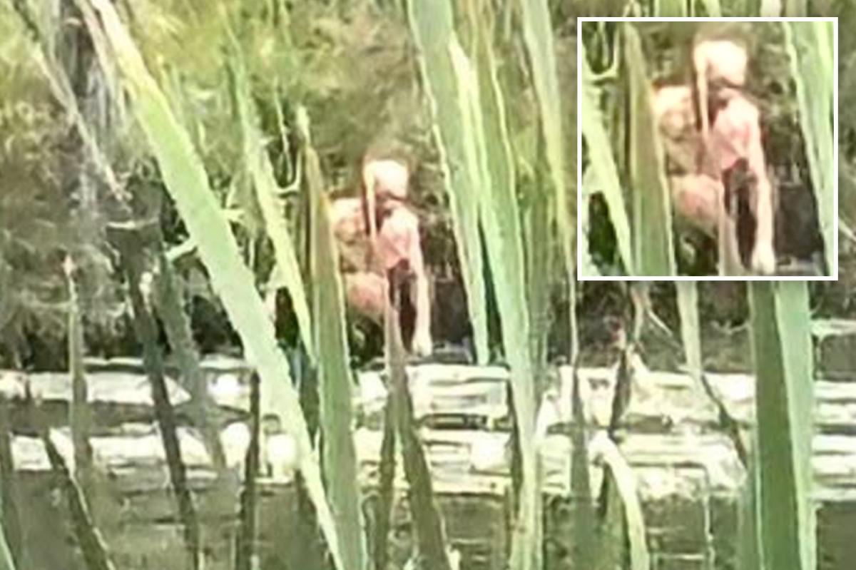 NY Bigfoot sighting of 'Syracuse Figure' my have gross NSFW explanation: 'Inhuman'