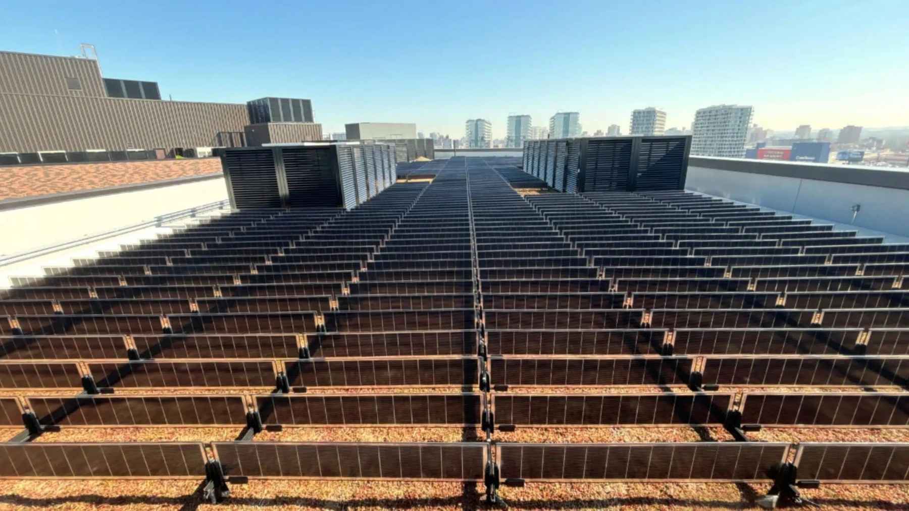 A New York building put a hundred kilowatts of solar panels upright on a green roof and gets about 120,000 kilowatt-hours a year out of them, against 116,000 from a tilted array on the same roof, because the point was never the total and always the shape