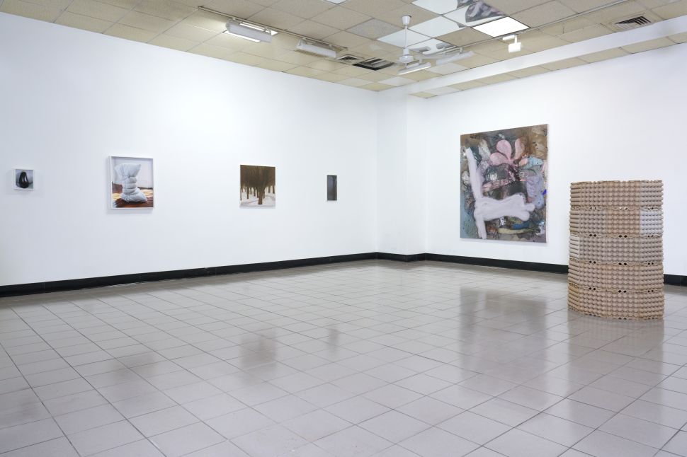 A white-walled gallery room displays paintings, photographs and sculptural works, including a cylindrical floor sculpture made from stacked egg cartons.