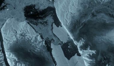 Petermann Glacier ice island