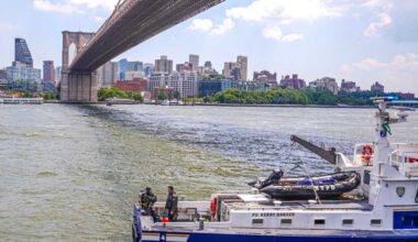 Man who jumped naked from the Brooklyn Bridge hit with criminal charges