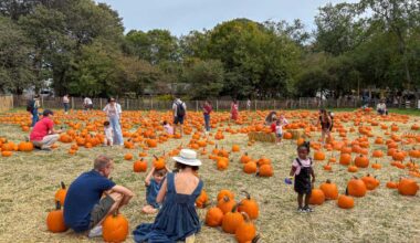 Top five fall events in and around New York City – QNS