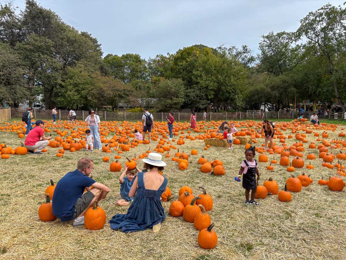 Top five fall events in and around New York City – QNS