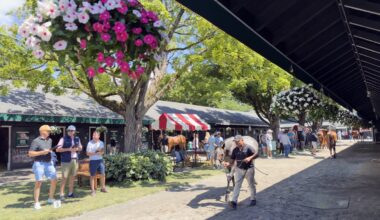 $360,000 Cody's Wish Colt Tops Solid Fasig-Tipton New York Opener