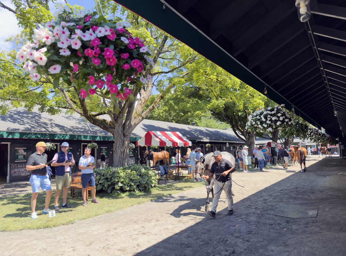 $360,000 Cody's Wish Colt Tops Solid Fasig-Tipton New York Opener
