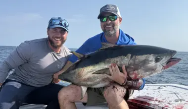 Long Island and NYC Fishing Report- July 30, 2026