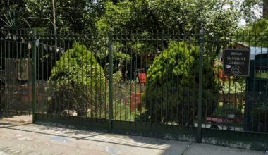 What’s happening | Movie night, free motorcycle lessons, back-to-school giveaway and more – Bronx Times