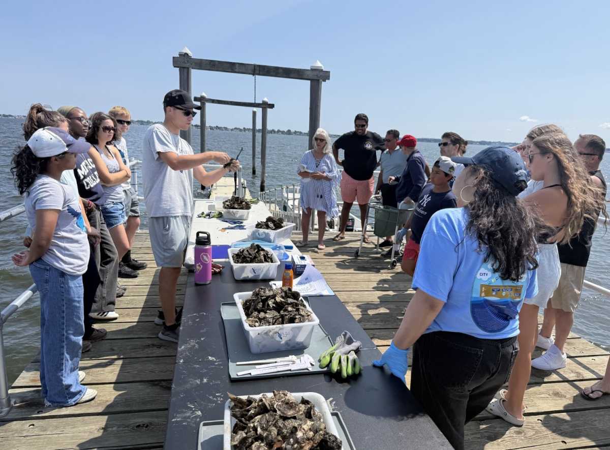City Island Oyster Reef works to restore a once thriving ecosystem – Bronx Times