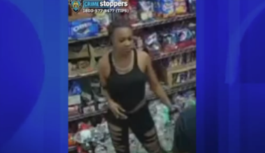News 12 | Brooklyn | Person On The Run After Slashing Woman Following Argument In Bed Stuy